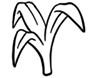 DHA