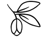 Argan Oil