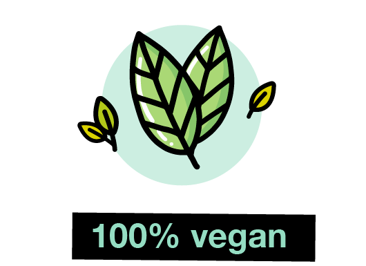 100% vegan