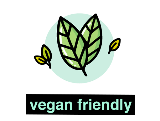 vegan friendly